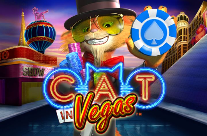 Cat In Vegas เว็บตรงเครดิตฟรี2022